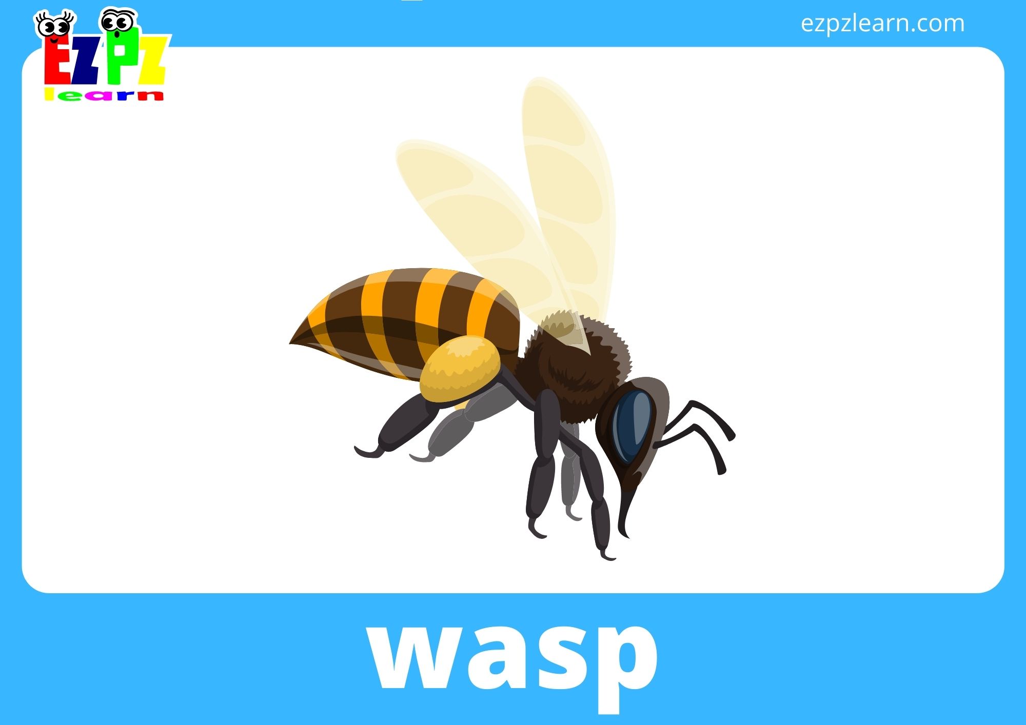 Insects Bugs Flashcards With Words View Online Or Free PDF Download Ezpzlearn